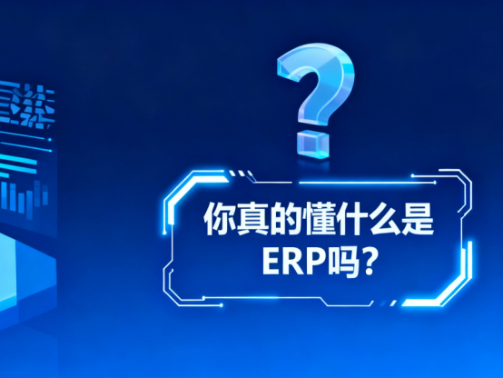 ERP 什么是ERP